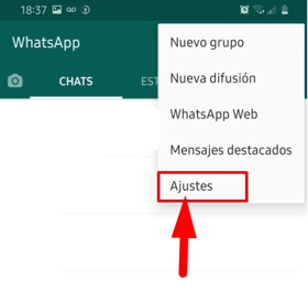 Ajustes WhatsApp