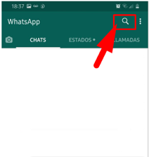 lupa buscar whatsapp